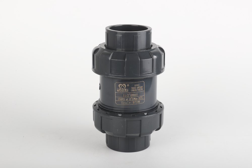 民权双由令止回阀